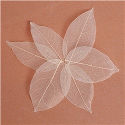 Сухие листья, (набор 5 шт), размер 1 шт:: 8×5 см, цвет белый Школа талантов