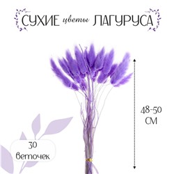 Сухие цветы лагуруса, набор 30 шт., цвет светло фиолетовый No brand