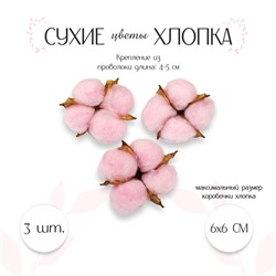 Сухие цветы хлопка, набор 3 шт., размер 1 шт. 6 × 6 см, цвет розовый No brand