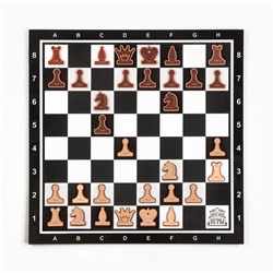 Демонстрационные шахматы 40 х 40 см "Время игры" на магнитной доске, 32 шт, чёрные