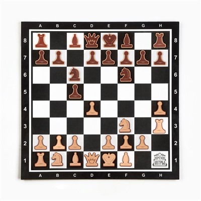 Демонстрационные шахматы 40 х 40 см "Время игры" на магнитной доске, 32 шт, чёрные
