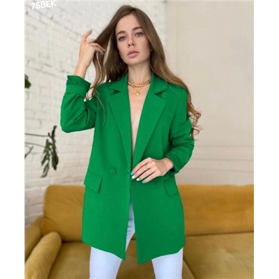 Пиджак на подкладке Барби зеленый BEK_Новая цена