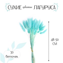 Сухие цветы лагуруса, набор 30 шт., цвет голубой No brand