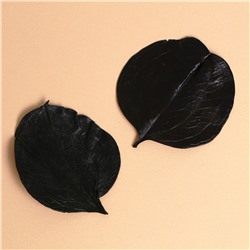 Сухие листья, набор 2 шт., размер 1 шт: 6,5 × 7 см Школа талантов