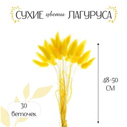 Сухие цветы лагуруса, набор 30 шт., цвет желтый No brand